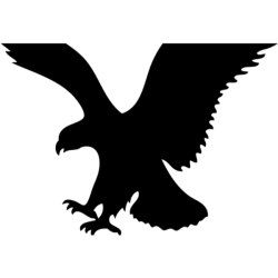 American Eagle Outfitters Inc. logo