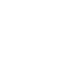 Arteris Inc. logo