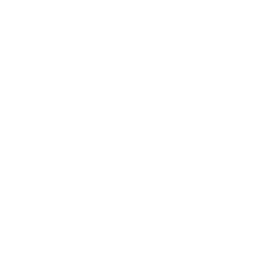 Alnylam Pharmaceuticals Inc. logo