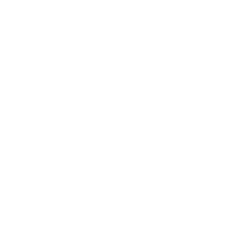 Ameriprise Financial Inc. logo