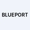 Blueport Acquisition Ltd logo