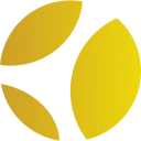 Anheuser-Busch Inbev SA Sponsored ADR (Belgium) logo