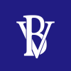 BV Financial Inc. logo