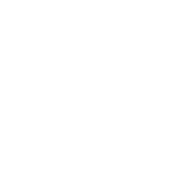 Bioventus Inc. logo