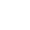 Torrid Holdings Inc. logo