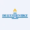 Delixy Holdings Limited logo