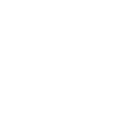 Bright Minds Biosciences Inc. logo
