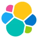 Elastic N.V. logo