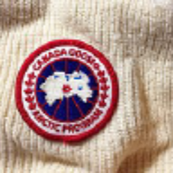 Canada Goose Holdings Inc. Subordinate Voting Shares logo