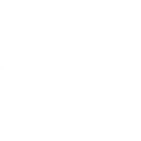 Lucid Group Inc. logo