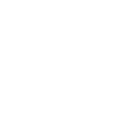NetApp Inc. logo