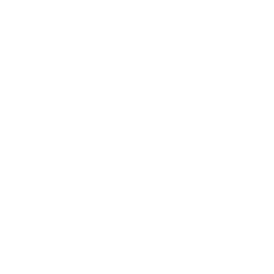 Rani Therapeutics Holdings Inc. logo