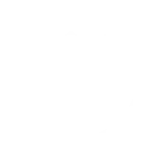 Royal Caribbean Cruises Ltd. logo