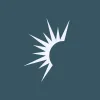 Solaris Energy Infrastructure Inc. logo