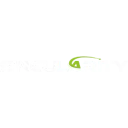 Singularity Future Technology Ltd. logo
