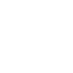 Shoulder Innovations Inc. logo