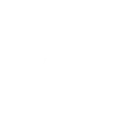 Stellantis N.V. logo