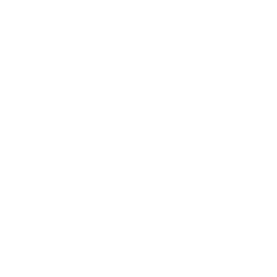Tenable Holdings Inc. logo