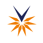 Velocity Financial Inc. logo