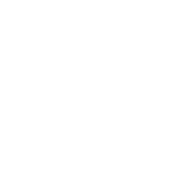 XPeng Inc. American depositary shares each representing two logo